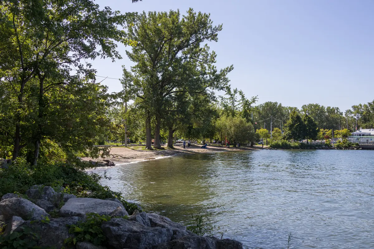 Tall trees and a rocky edge along the shoreline at Ward's Island Beach, with calm water and a few people on the sand in the distance
