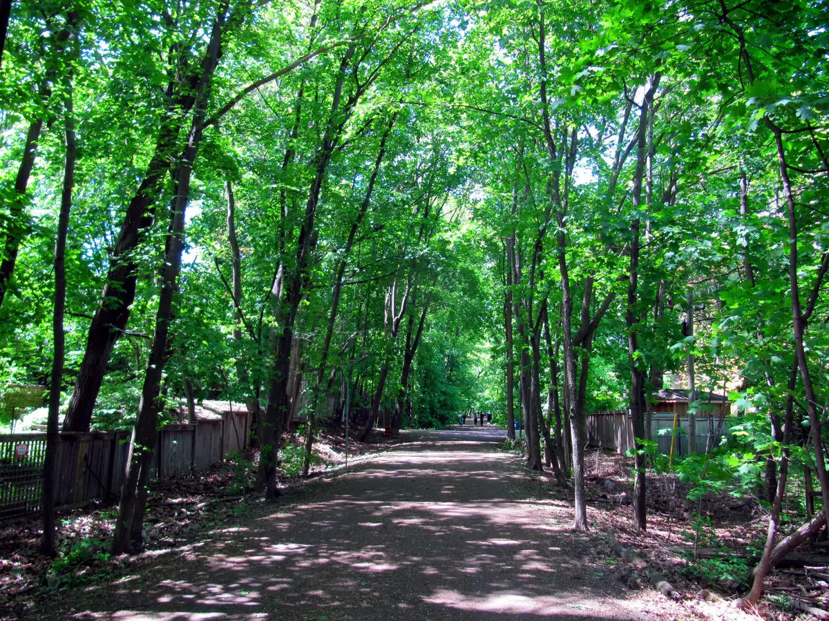 The Belt Line trail running along an old railway right-of-way in Toronto
