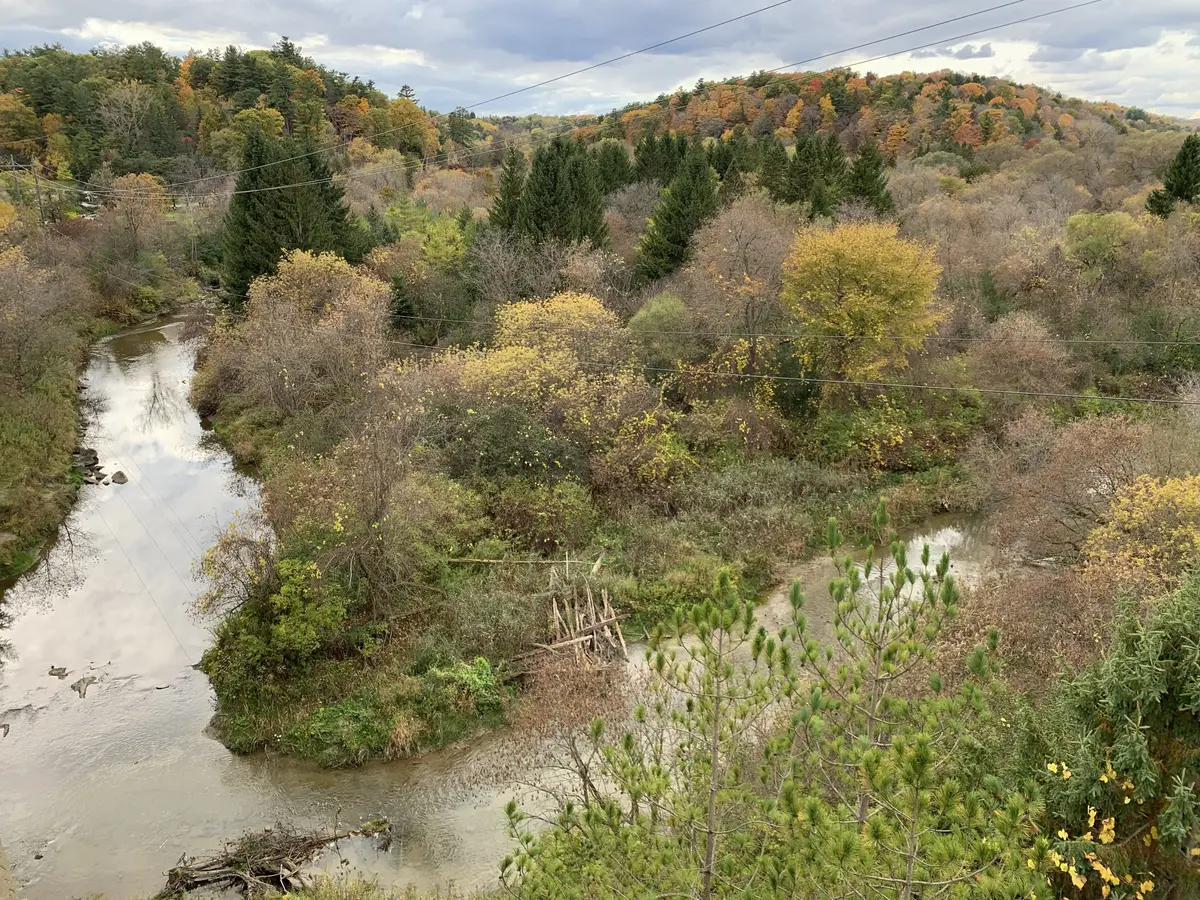 The confluence of the Rouge River and Little Rouge Creek in Rouge National Urban Park