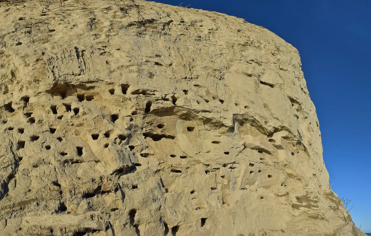 A pale, eroded sandstone bluff face against a bright blue sky.