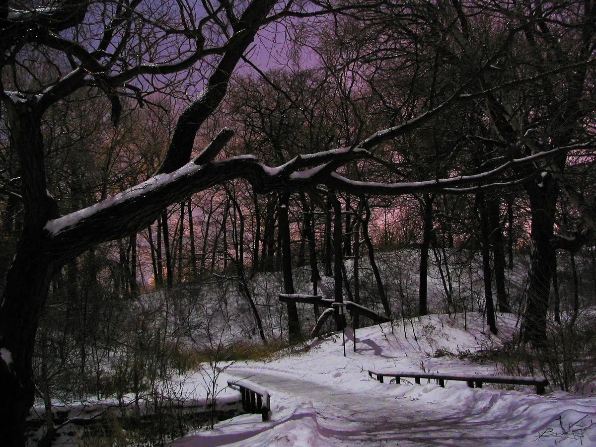 A snowy path through bare trees at night under a purple-tinged sky, with wooden railings along the path