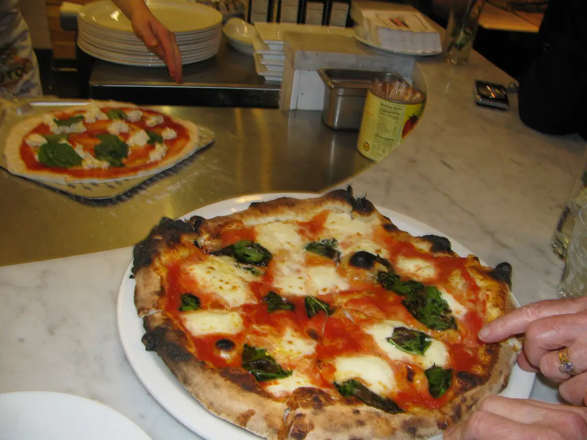 A Neapolitan-style pizza with a charred, blistered crust, melted mozzarella and basil leaves on a white plate