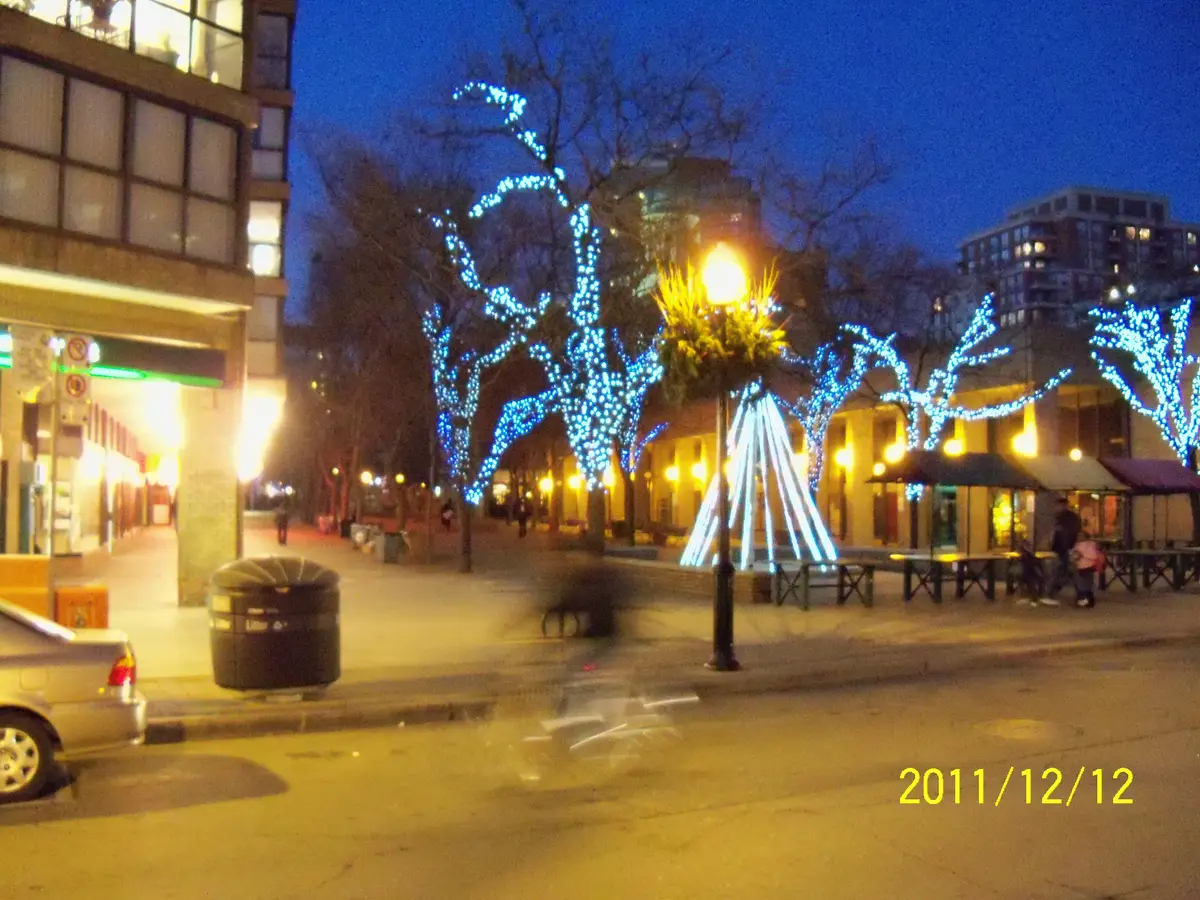 Blue lights strung through bare trees on a Front Street sidewalk at night, with people and outdoor tables below