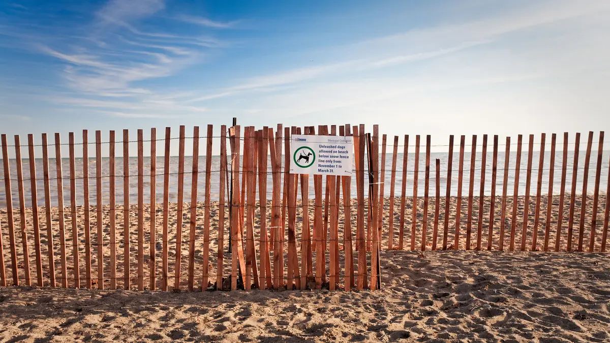 A wooden snow fence on the sand at Woodbine Beach, with a pale blue sky and the lake beyond.