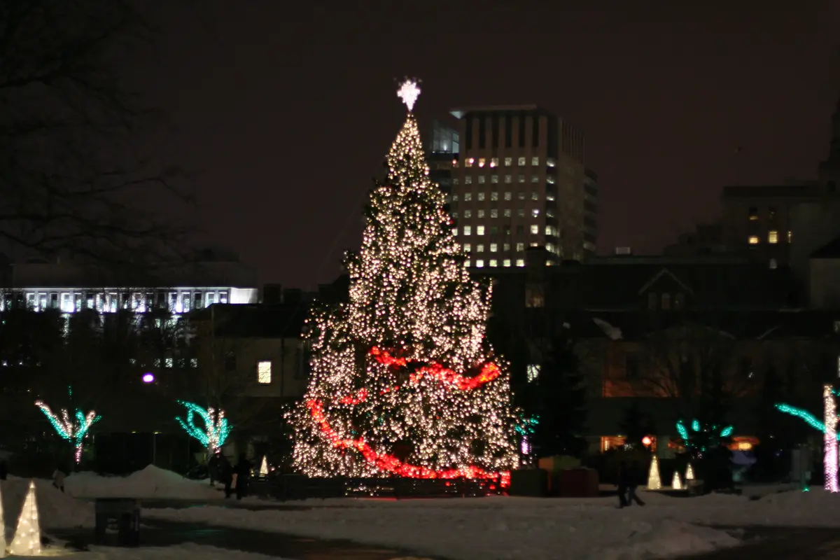 A tall Christmas tree covered in white lights and a red ribbon, glowing at night with snow on the ground
