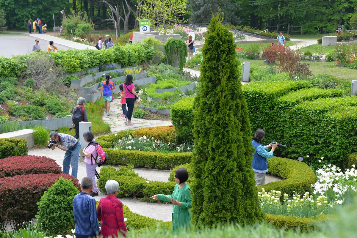 Visitors walk garden paths among clipped hedges and flower beds at Edwards Gardens