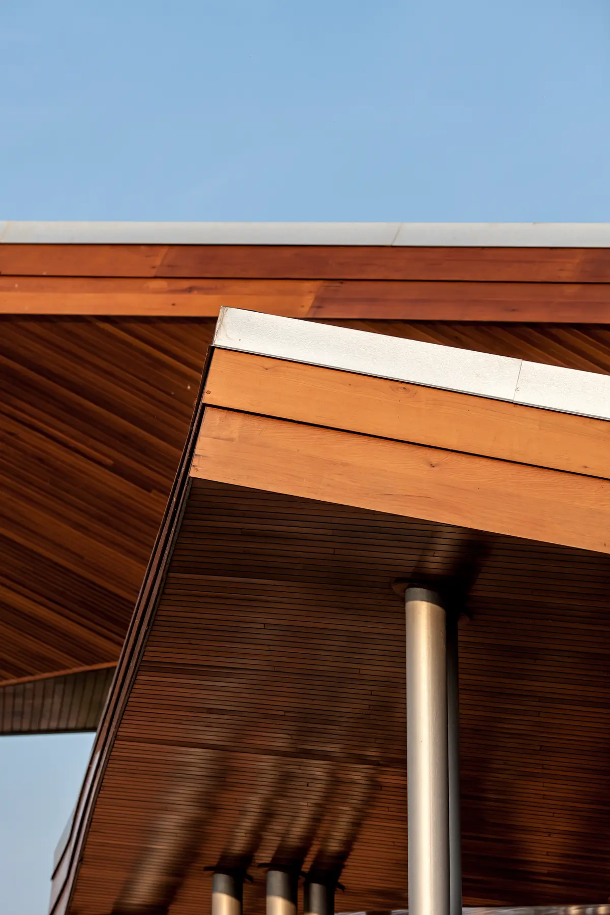 Looking up at a wooden roof and steel columns against a clear blue sky