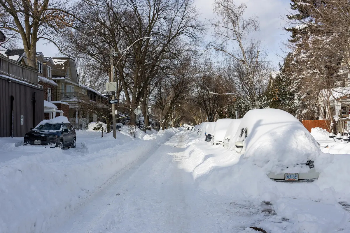 A quiet tree-lined residential street covered in deep snow, with parked cars buried under drifts