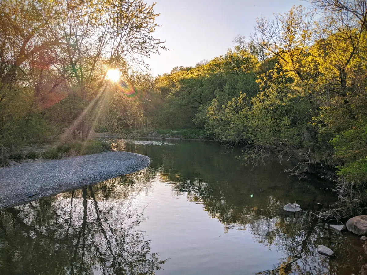 The Don River flowing beside a trail, with green trees along the bank and a low sun shining through them