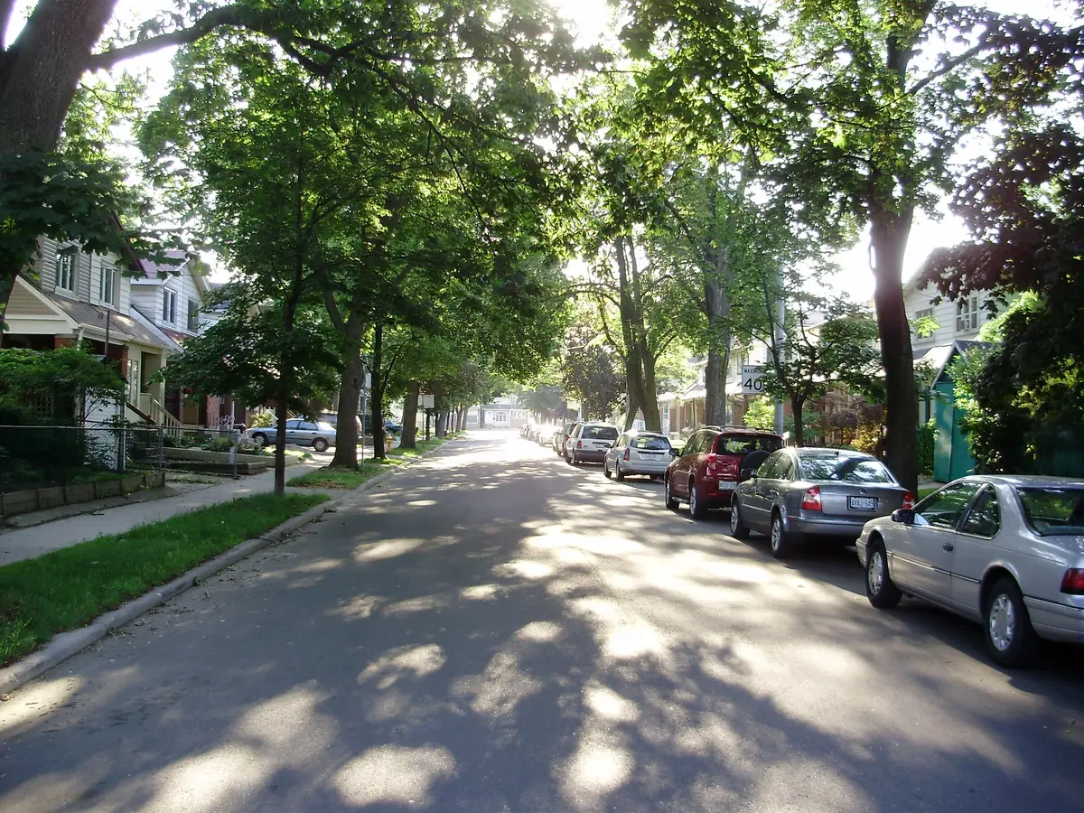 A leafy residential street in Danforth Village, East York, with parked cars and mature trees