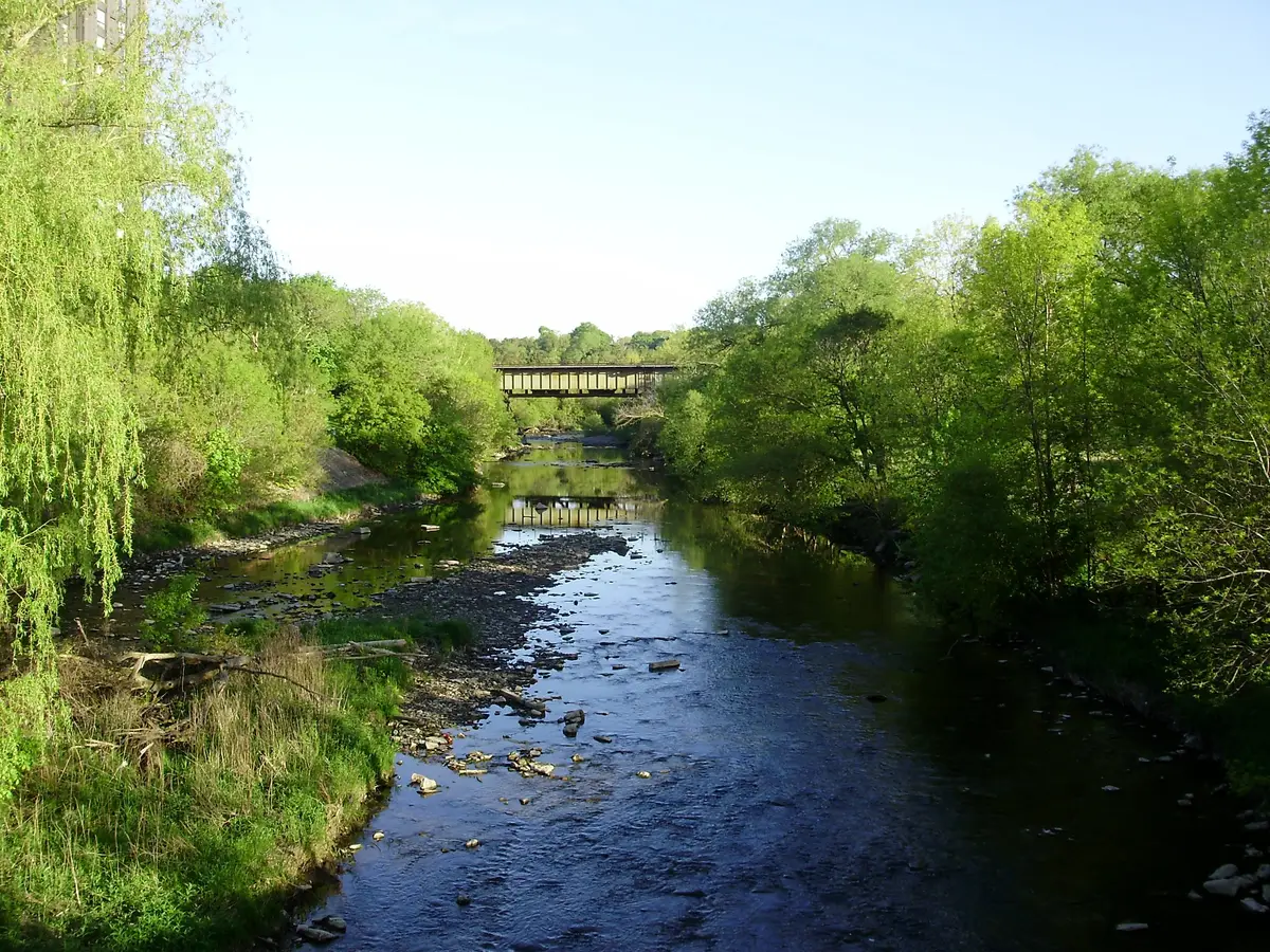 Etobicoke Creek running between green banks with a footbridge in the distance