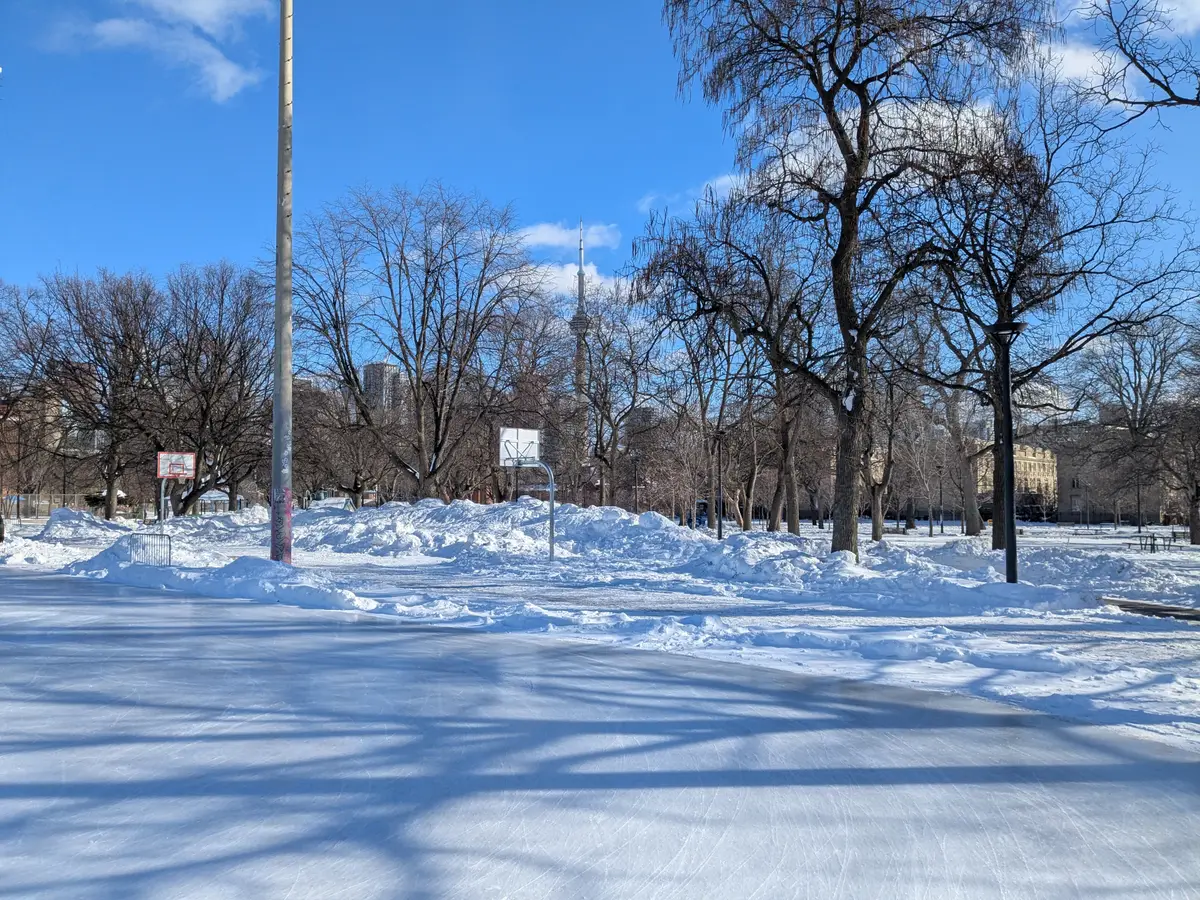 A smooth outdoor ice rink in a snowy park under a blue sky, with the CN Tower showing between bare trees