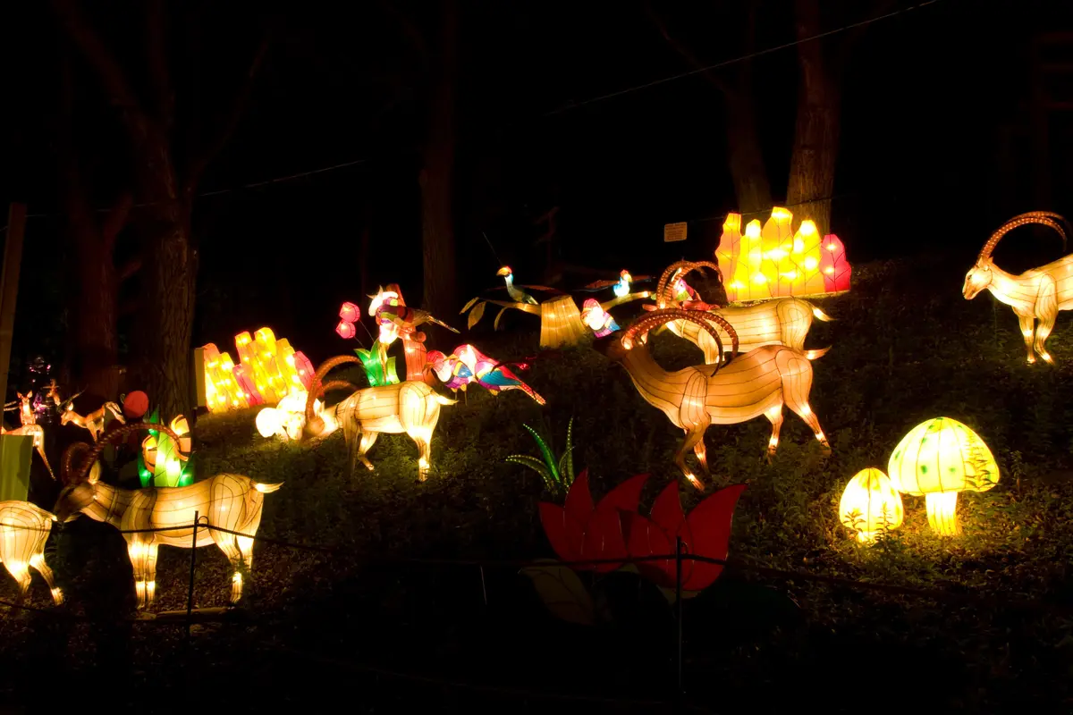 Glowing deer and mushroom lanterns scattered across a dark hillside at night