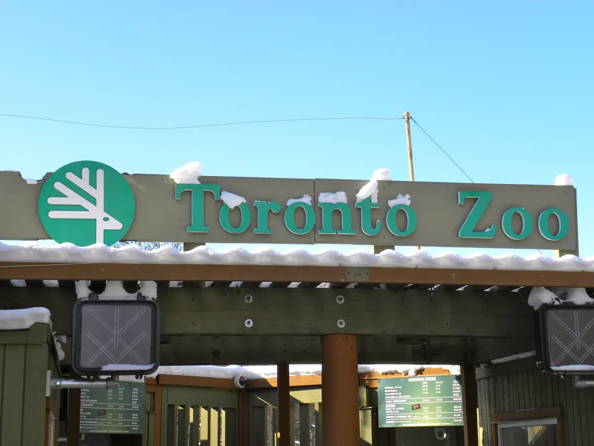 The green Toronto Zoo entrance sign dusted with snow under a blue sky