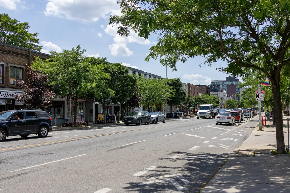 Looking west along a tree-lined stretch of the Danforth on a sunny day, with shopfronts, parked cars and a bike lane