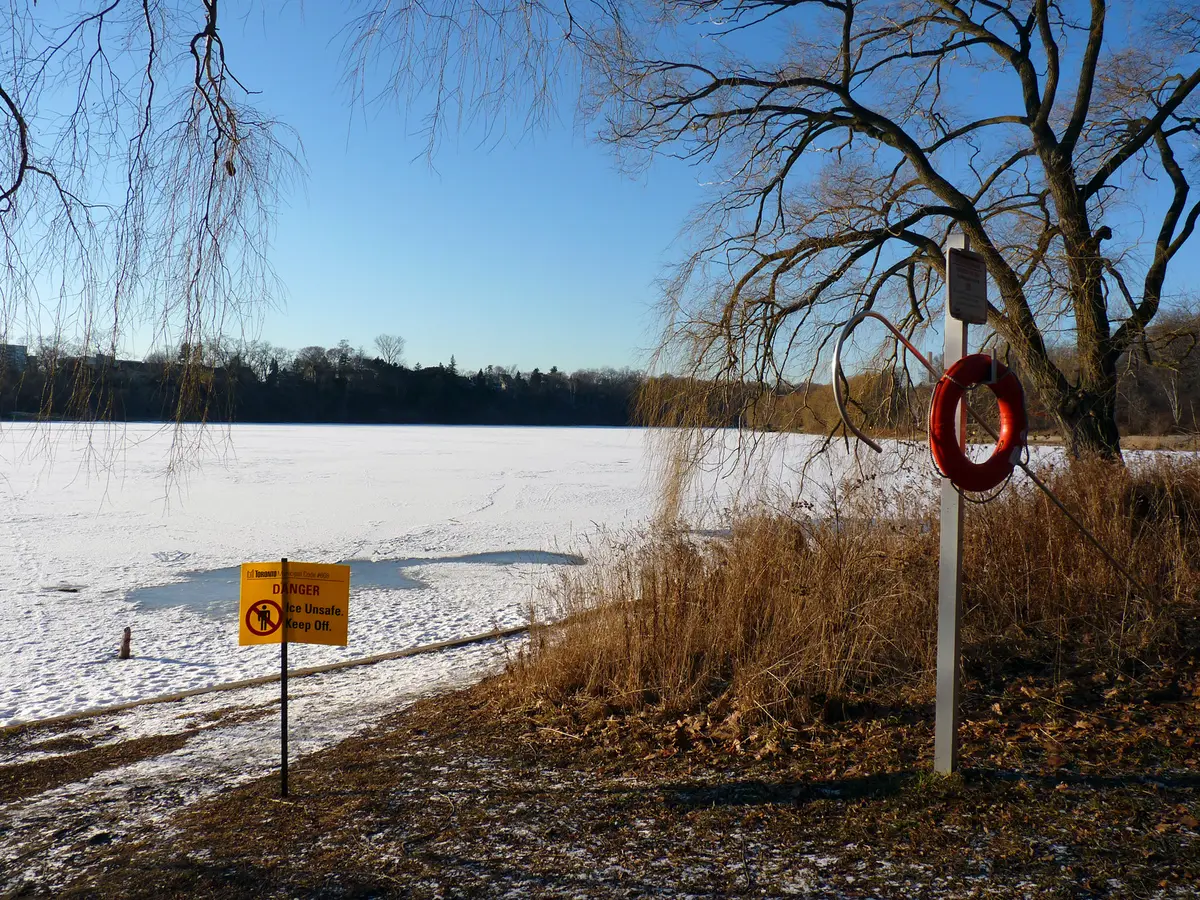 Ice along the edge of Grenadier Pond, with bare willow branches and a posted sign on the shore.