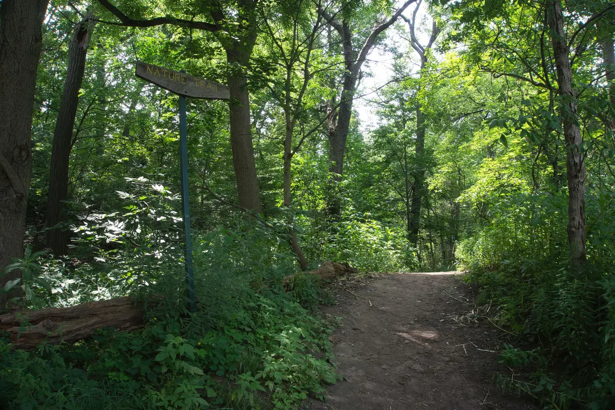 A dirt path through green woodland in High Park, with a wooden trail marker and tall trees on both sides