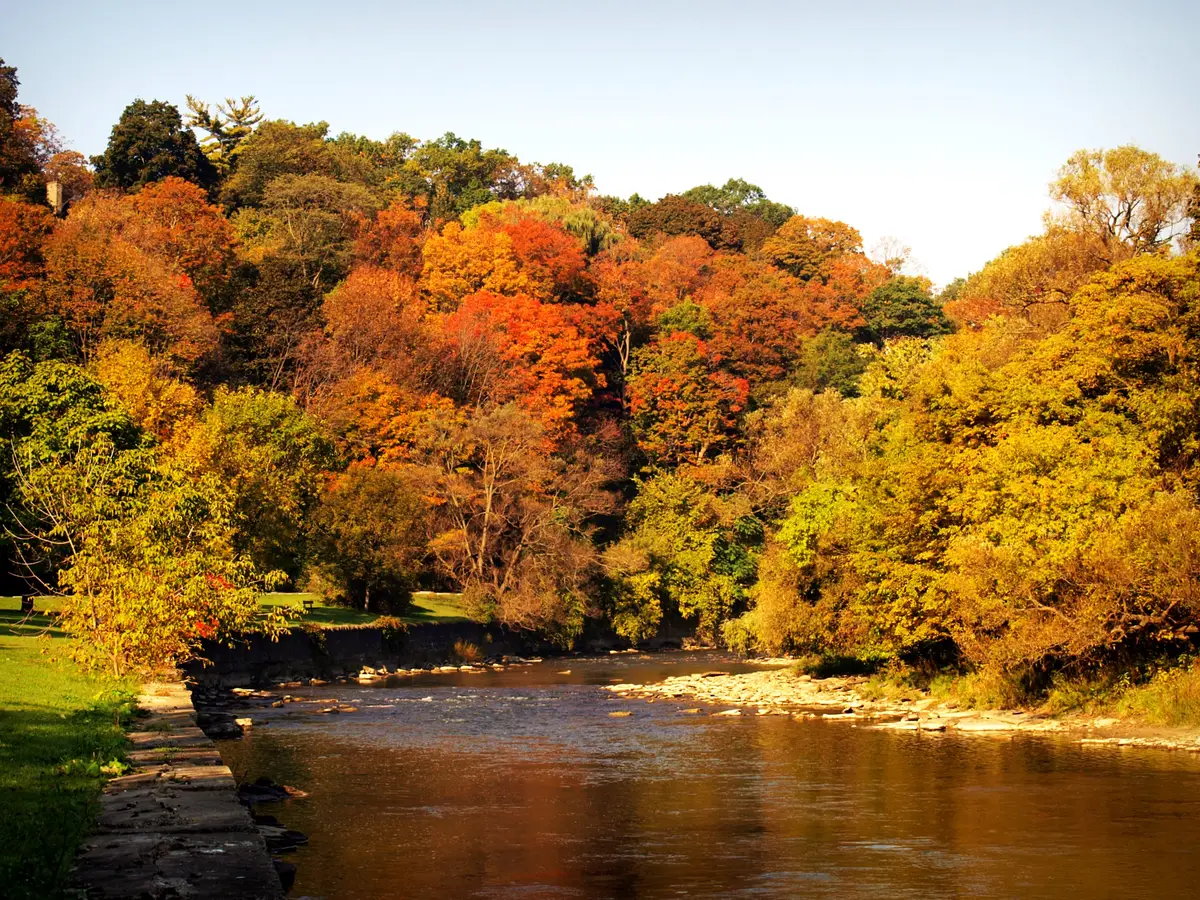 The Humber River running between banks of red and gold autumn trees at Home Smith Park