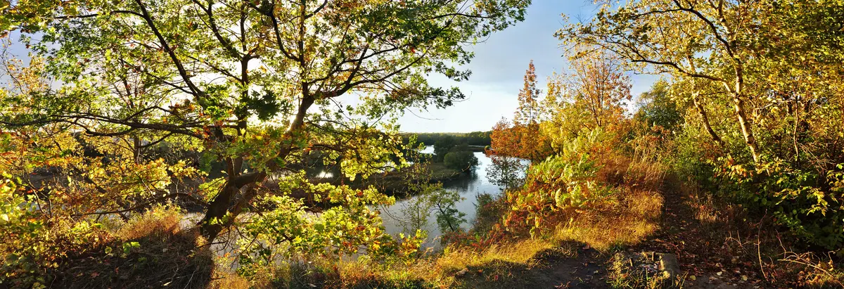 Autumn trees framing a bend of the Humber River estuary in Toronto in warm low light