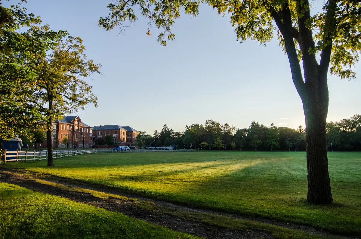 Low golden light across a lawn with tall trees and brick buildings beyond, in Colonel Samuel Smith Park