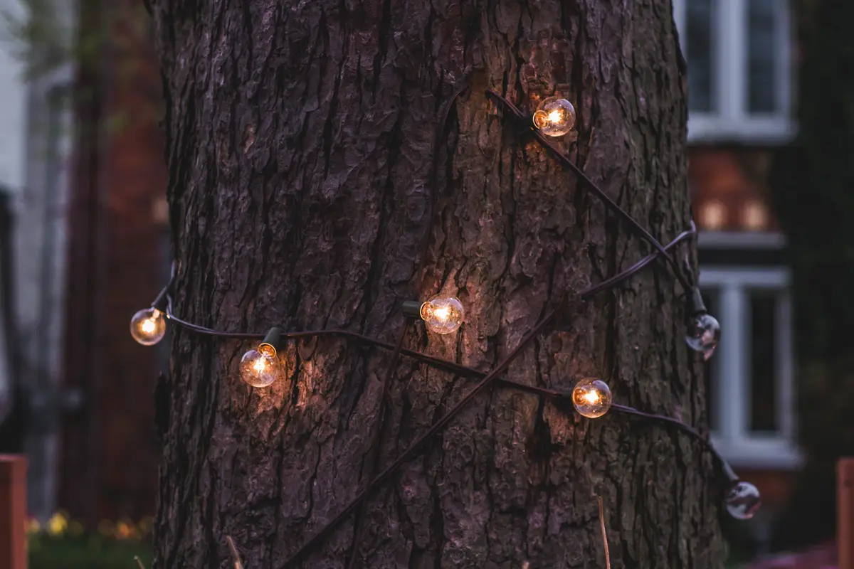 String lights wrapped around a tree trunk on a Toronto street