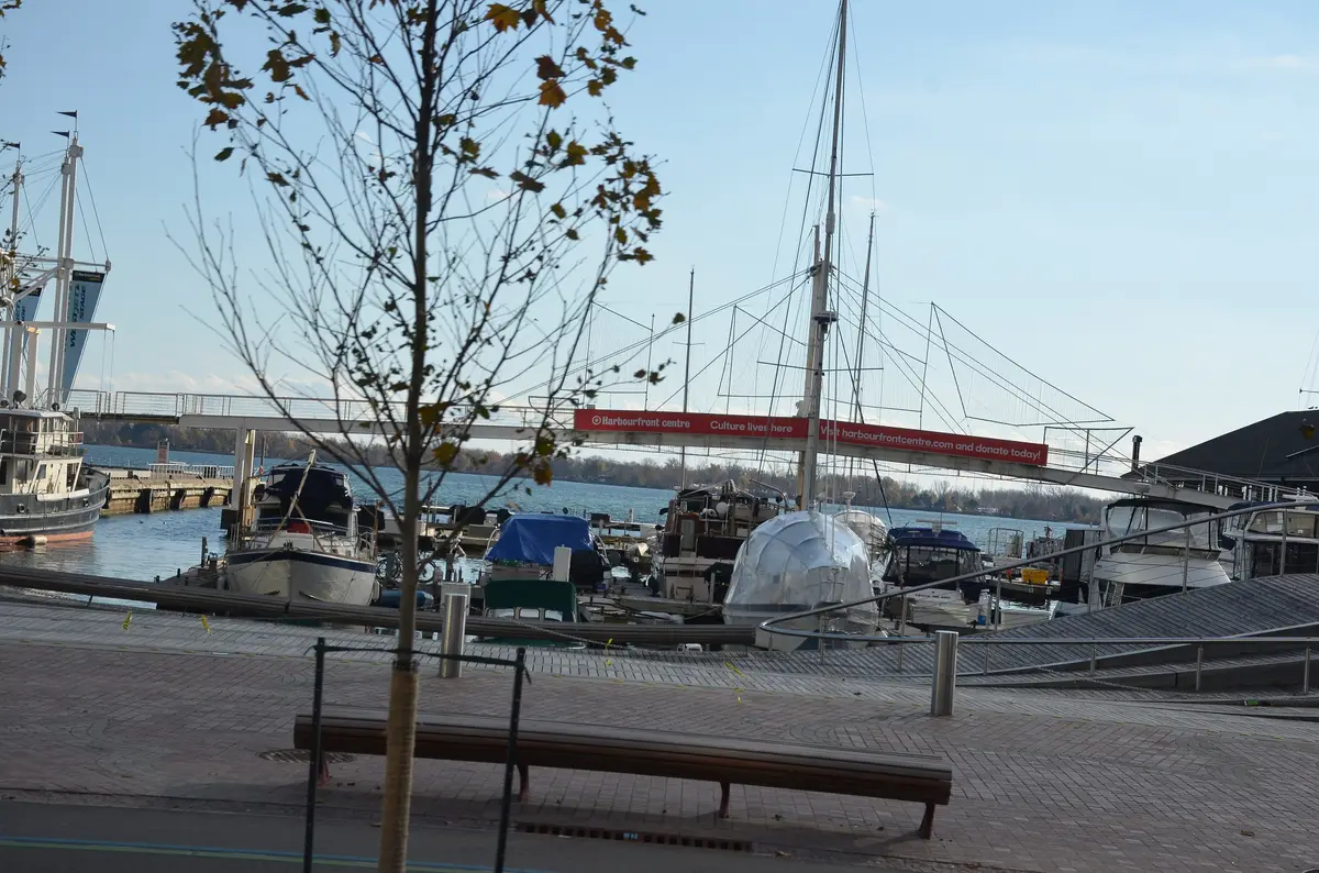 A white pedestrian bridge with cable rigging arcs over a marina, its side banner reading Harbourfront centre, with moored boats beneath.