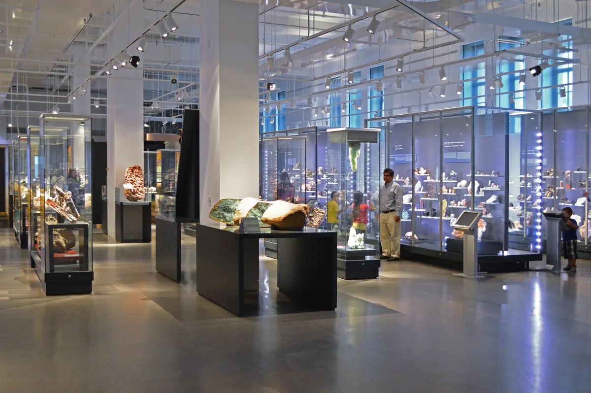 Display cases and a few visitors in a bright, open gallery at the Royal Ontario Museum