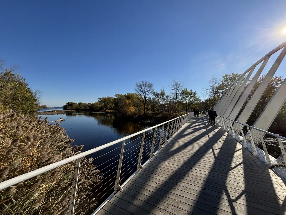 A white steel footbridge with a tilted arch crossing Mimico Creek, with a walker on the deck and Lake Ontario beyond the reeds