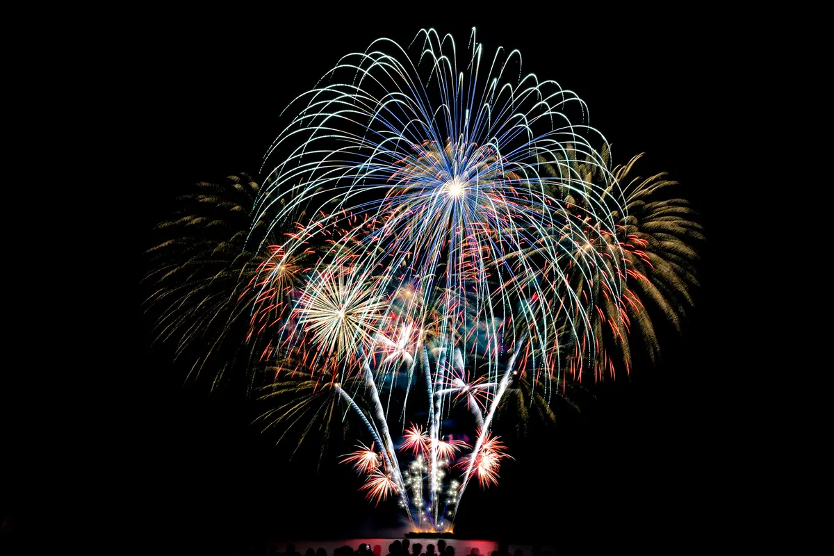 A cluster of white and blue fireworks bursting above the night sky