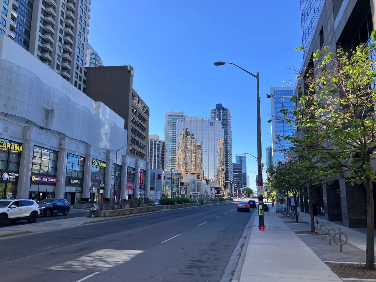 Yonge Street in North York on a sunny day, with a wide sidewalk, street trees and office towers along the road