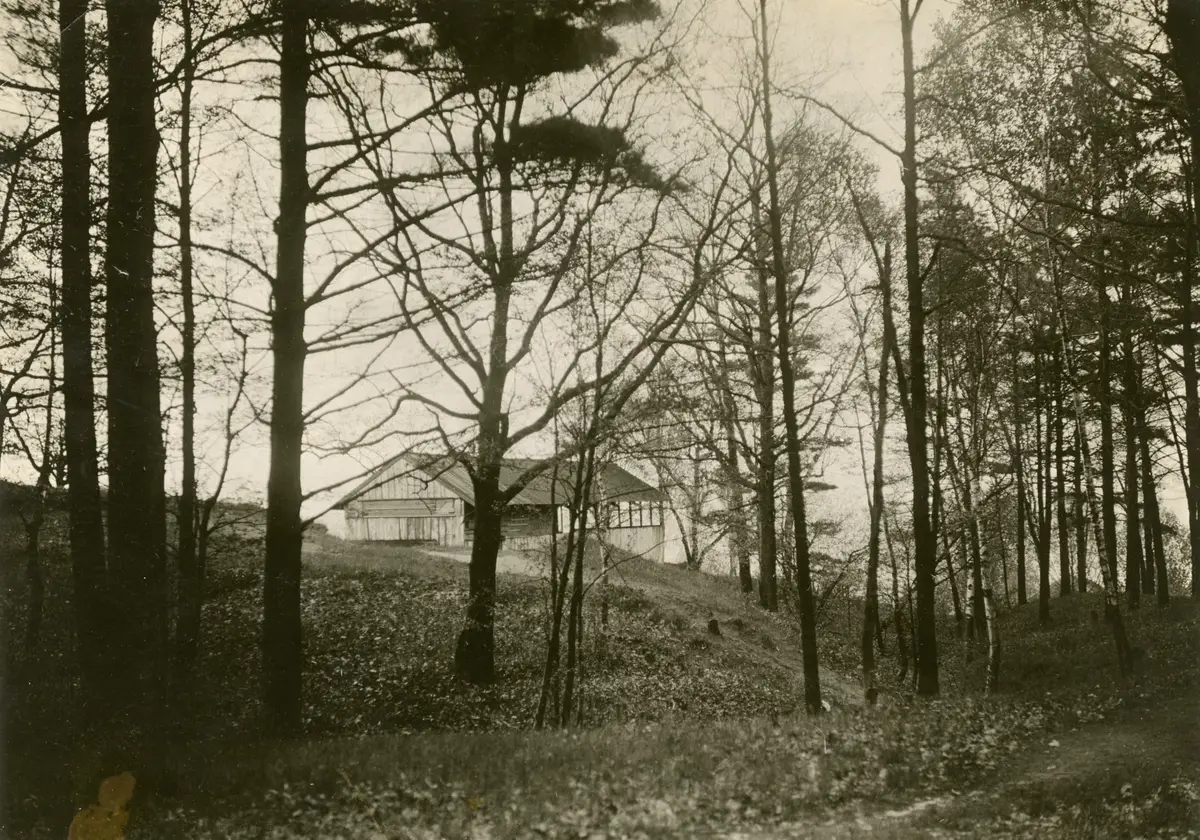 A picnic pavilion half hidden among tall bare trees on a rise, in a sepia photograph