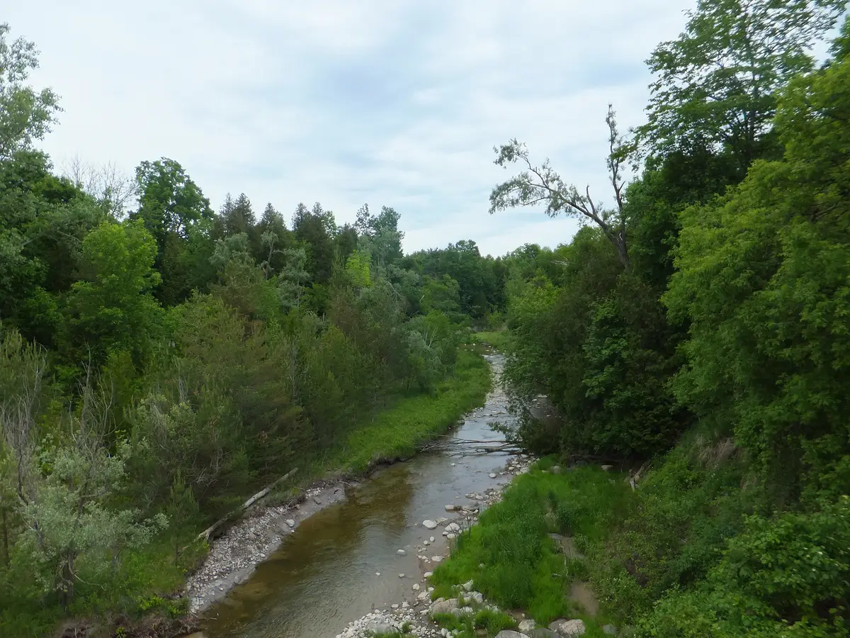 Little Rouge Creek seen from the top of the Cedar Trail on Meadowvale Drive