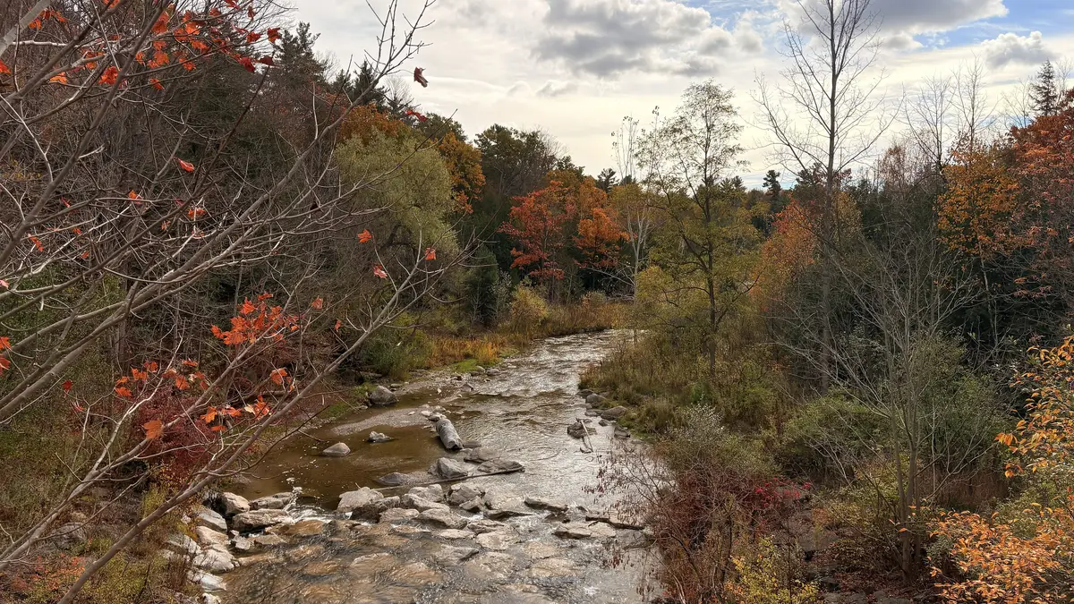 Little Rouge Creek near Cedar Trail Pond in Rouge National Urban Park