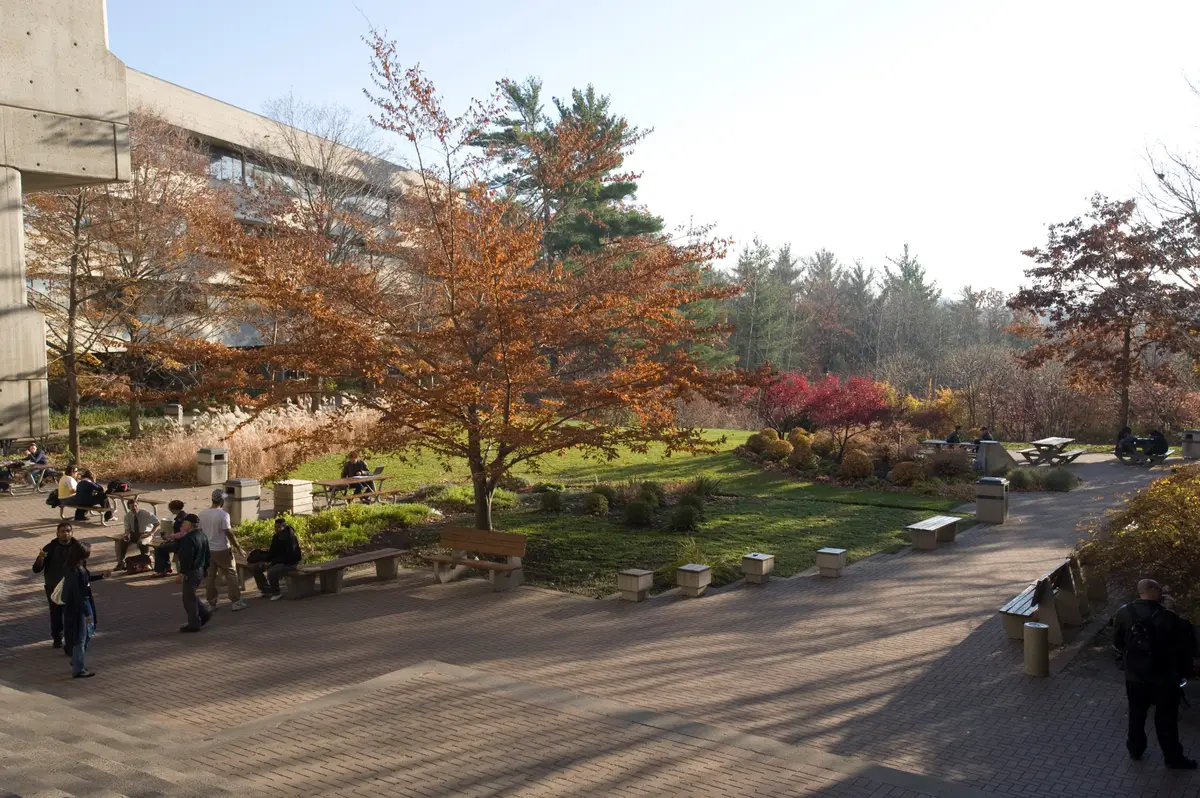 Autumn trees and a paved walkway with people on the University of Toronto Scarborough campus