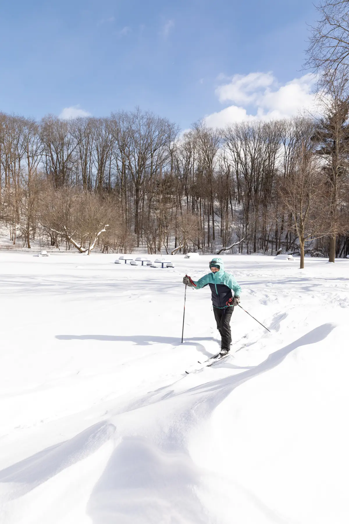 A cross-country skier crossing an open snowy field, with bare trees along the edge under a blue sky