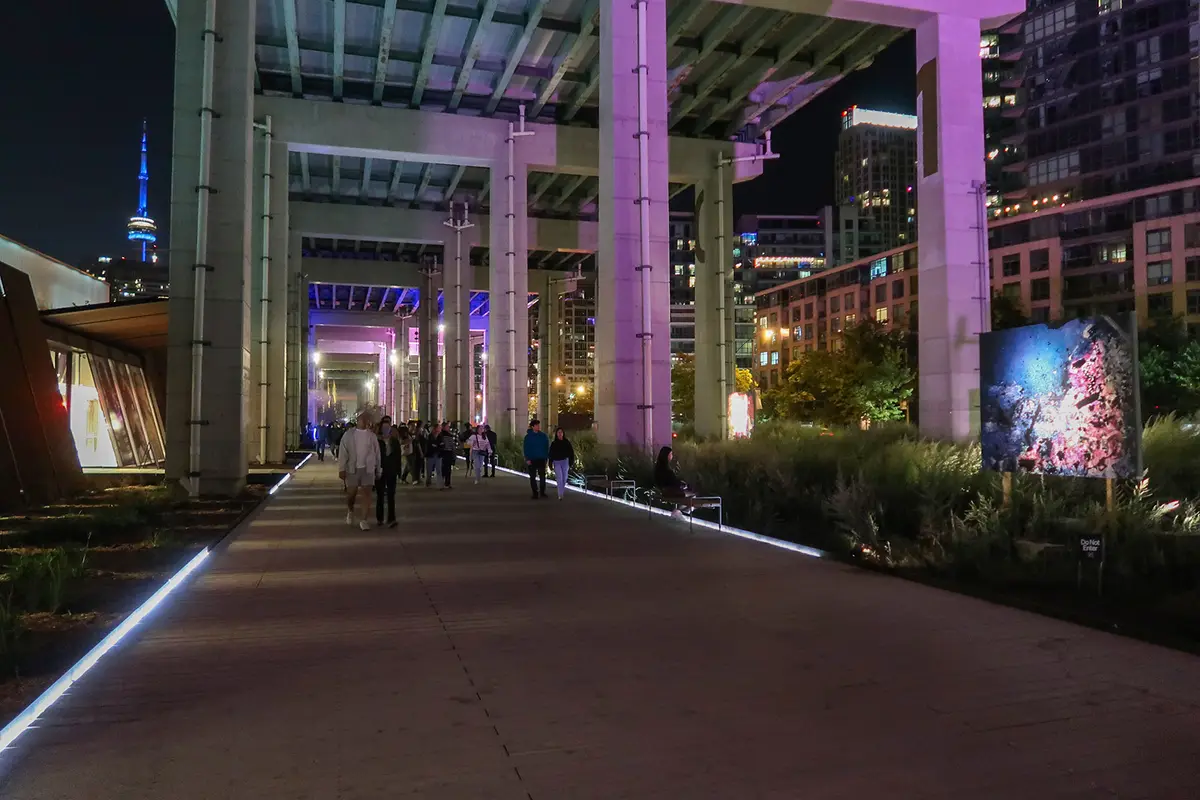 Pedestrians walk a lit path between concrete columns under the Gardiner, with the CN Tower in the distance