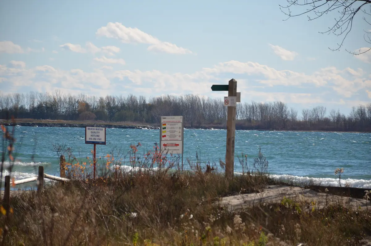 A quiet stretch of Lake Ontario shoreline with reeds, trail signs and open water beyond