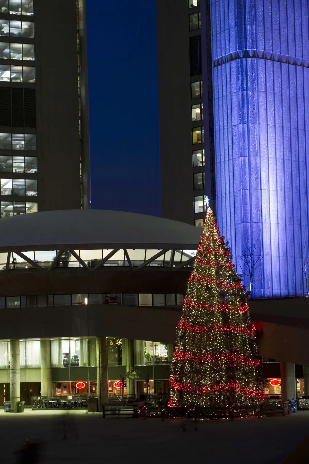 A tall Christmas tree wrapped in white and red lights in front of City Hall's lit blue tower