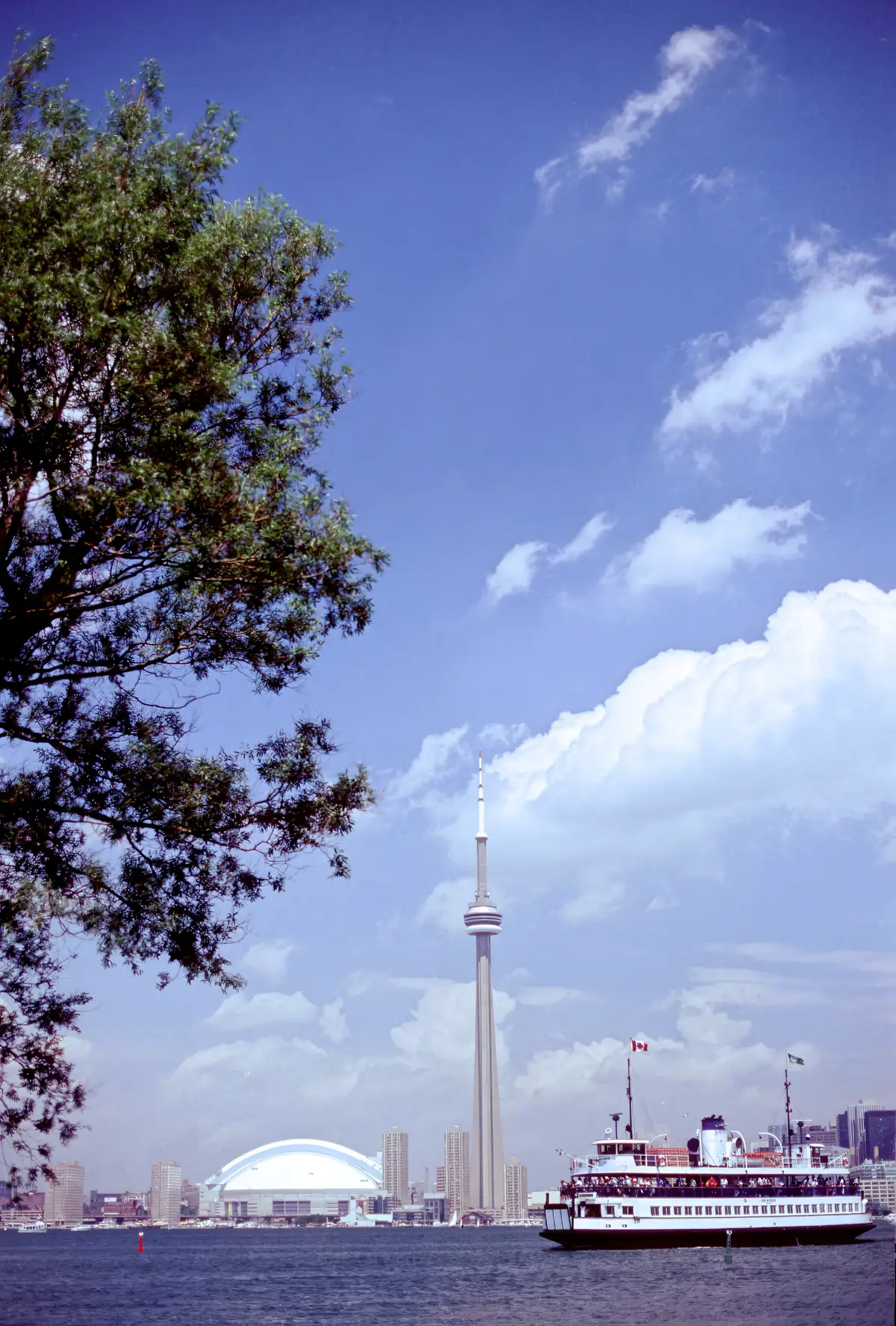 A Toronto Island ferry crossing the water with the CN Tower and skyline behind a tree