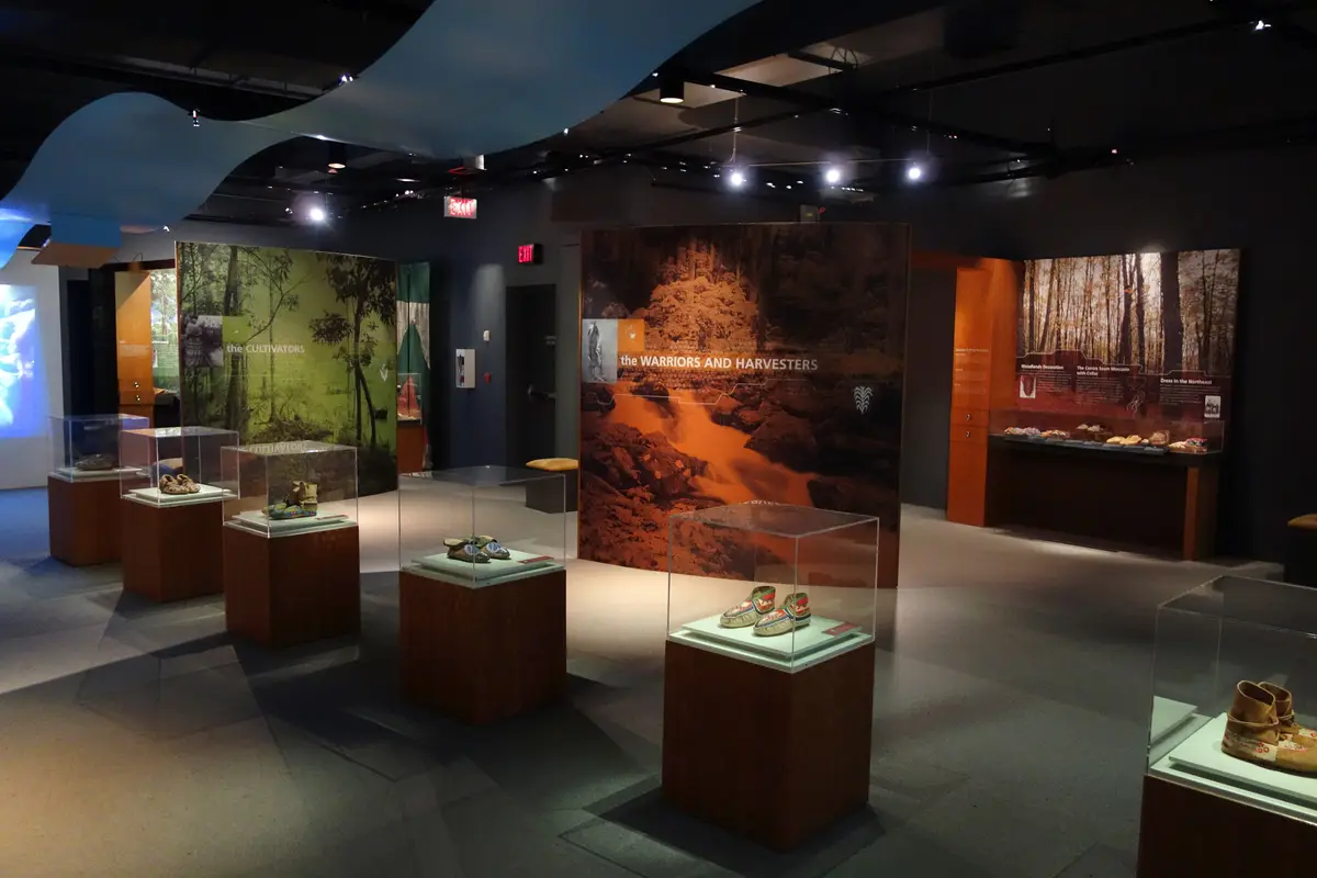 A dimly lit museum gallery with footwear displayed in glass cases and large forest-themed wall panels
