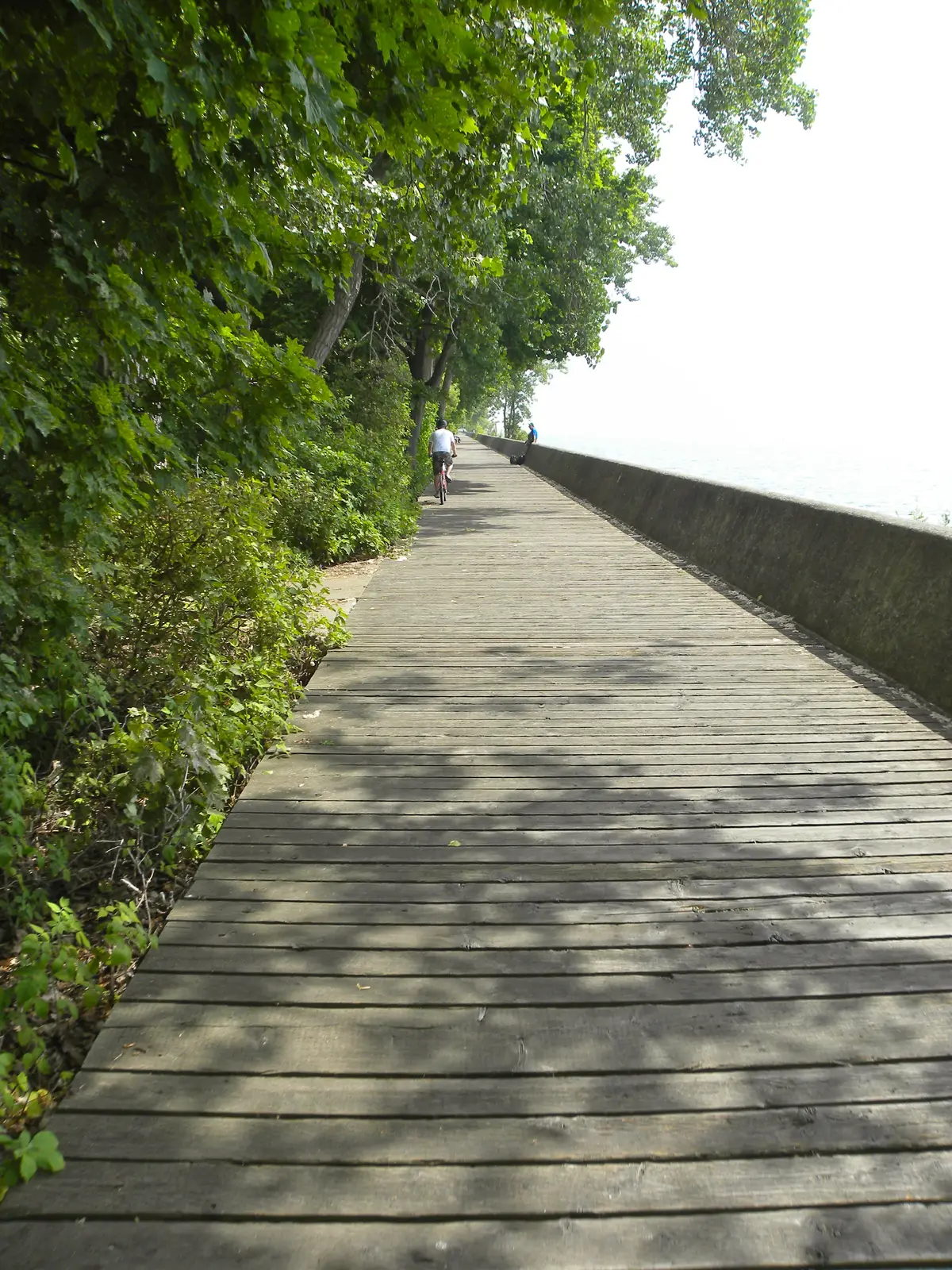 A wooden boardwalk running beside trees and a low wall by the lake, with a cyclist in the distance