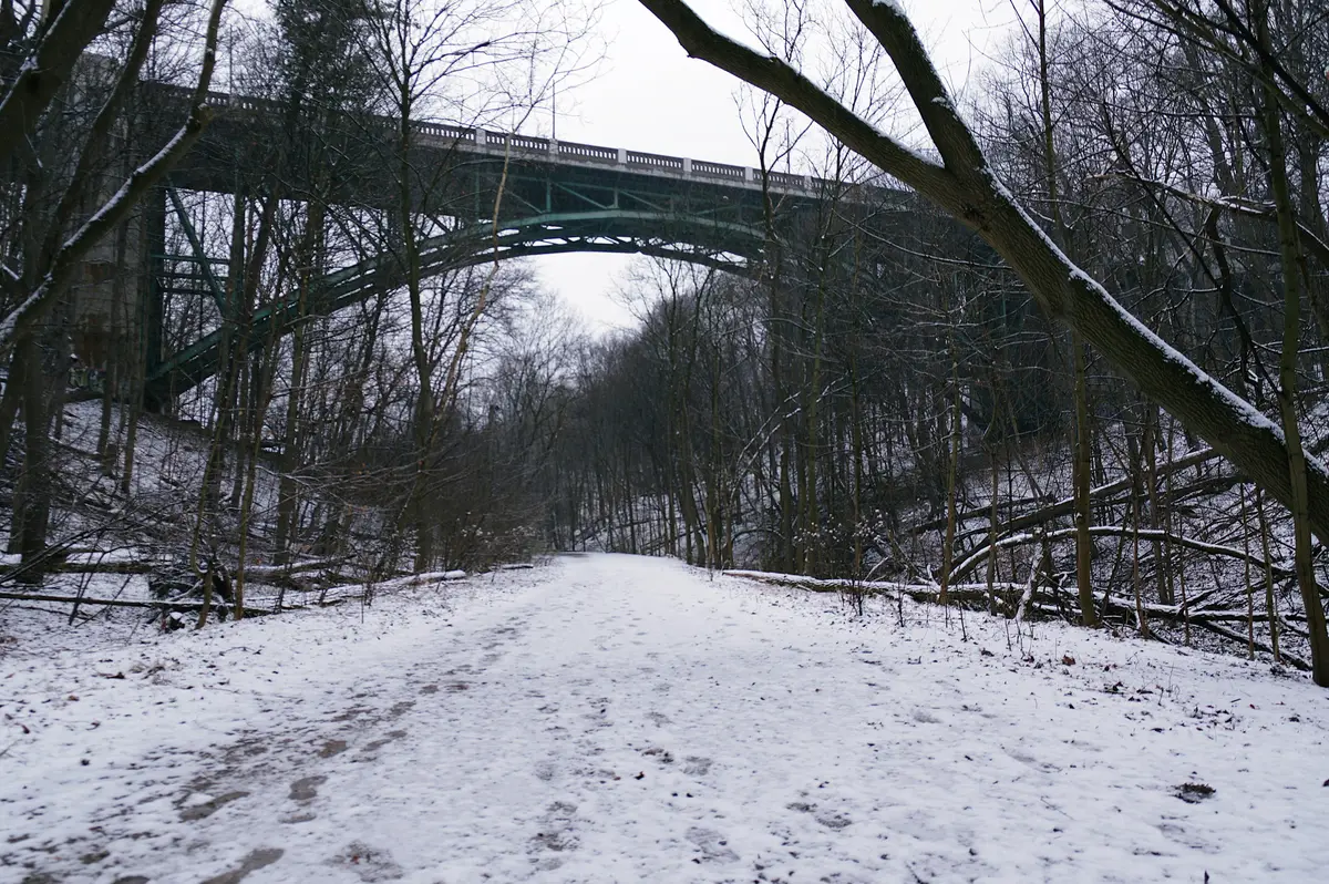 A snow-covered path through bare trees in a Toronto park, with a bridge arching over the trail