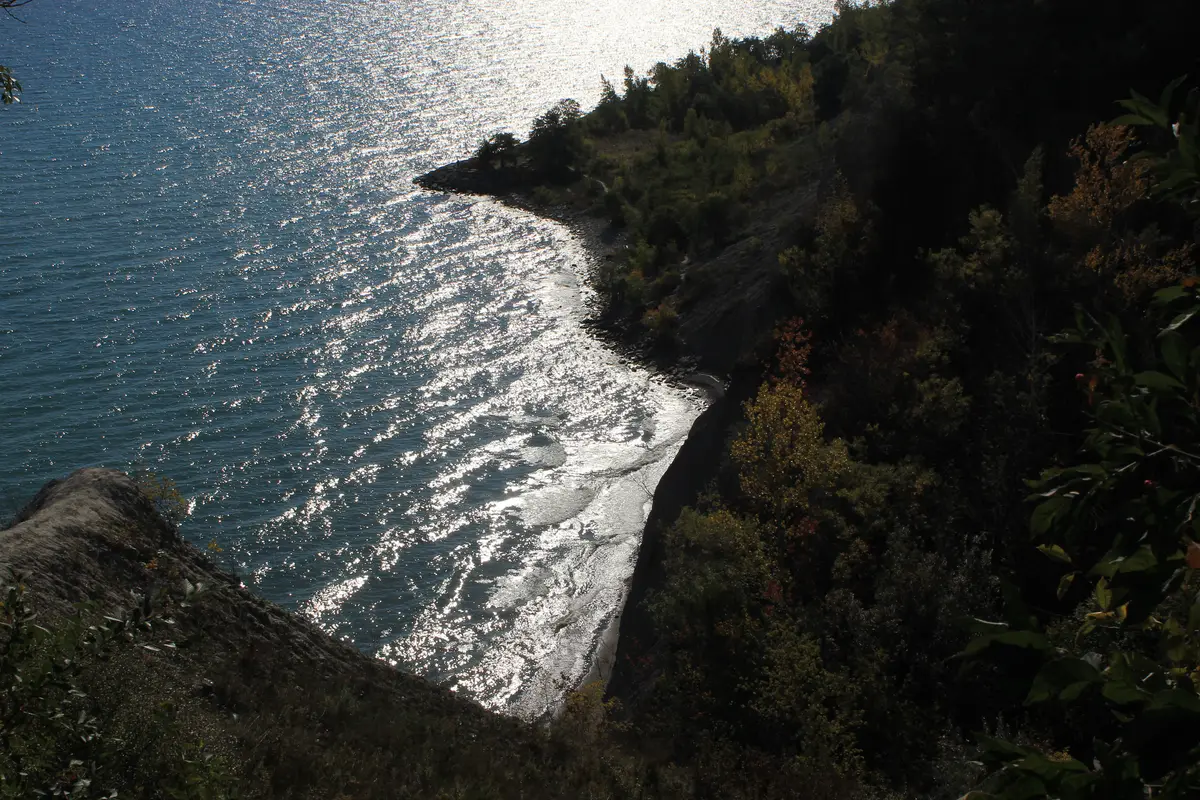 Sunlit lake water along the base of a wooded bluff at the Scarborough Bluffs