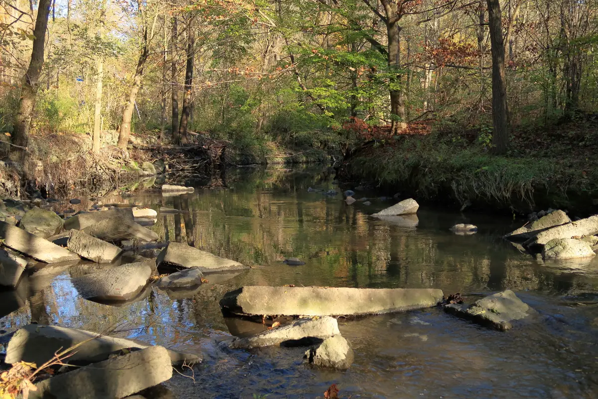 A shallow creek with flat stones and autumn trees on its banks