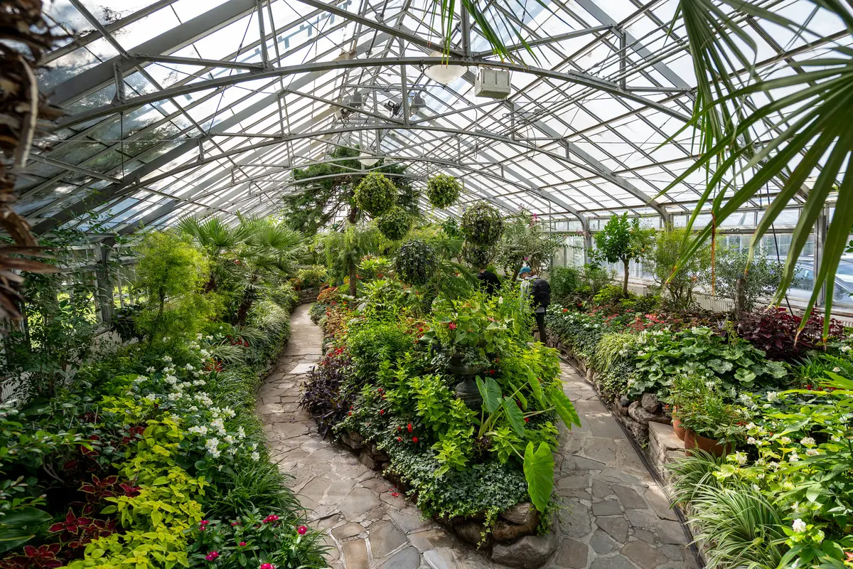 Stone path through a glass greenhouse at Allan Gardens, lined with palms, flowering plants and topiary