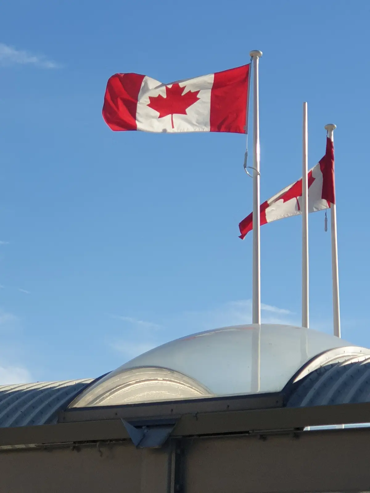Canadian flags flying against a blue sky at the Enercare Centre