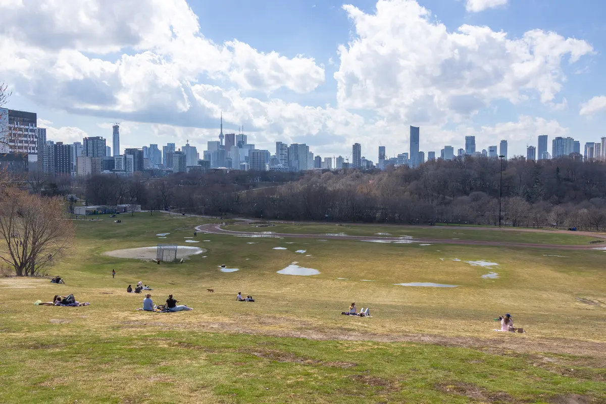 People sit and lie on a grassy slope with the downtown skyline beyond the trees