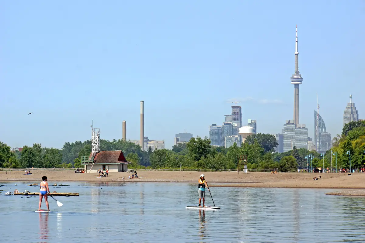 Paddleboarders on the shallow water at The Beaches, with the CN Tower and the downtown skyline across the lake