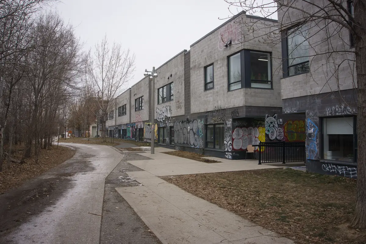 A wide paved path running north beside a graffiti-covered building, with bare trees on the left under a grey sky.